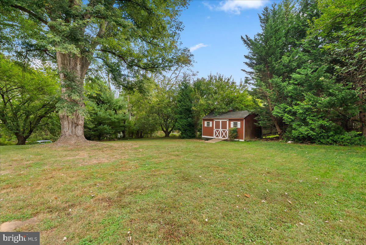 919 Ednor Road Silver Spring, MD 20905 - Photo 29 of 29 a view of a big yard with large trees