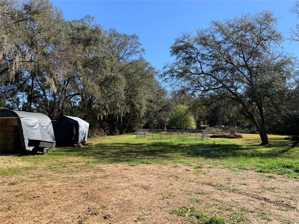 5614 Watson Road Riverview, FL 33578 - Photo 16 of 29 a view of a park with large trees