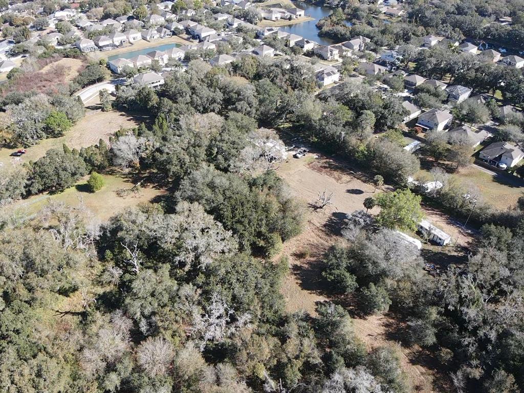 5614 Watson Road Riverview, FL 33578 - Photo 29 of 29 a view of a forest with a tree