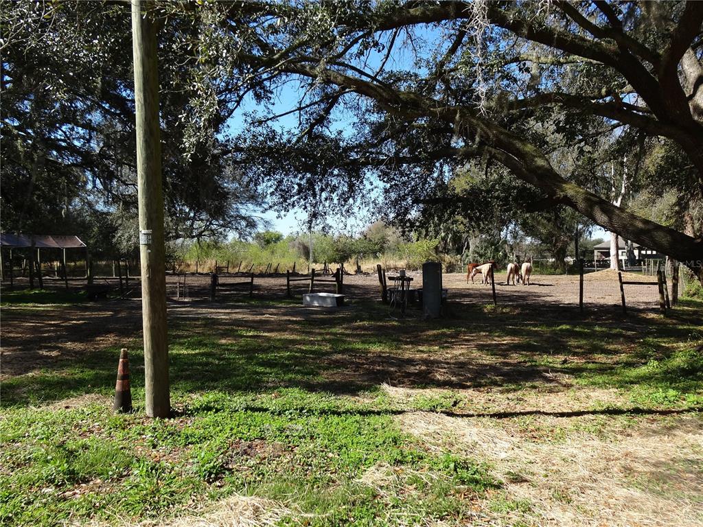 5614 Watson Road Riverview, FL 33578 - Photo 6 of 29 a view of a yard with large trees