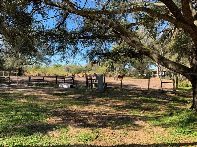 a view of a yard with a tree