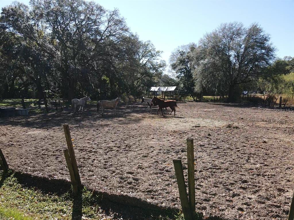 5614 Watson Road Riverview, FL 33578 - Photo 10 of 29 a view of a yard with plants and trees
