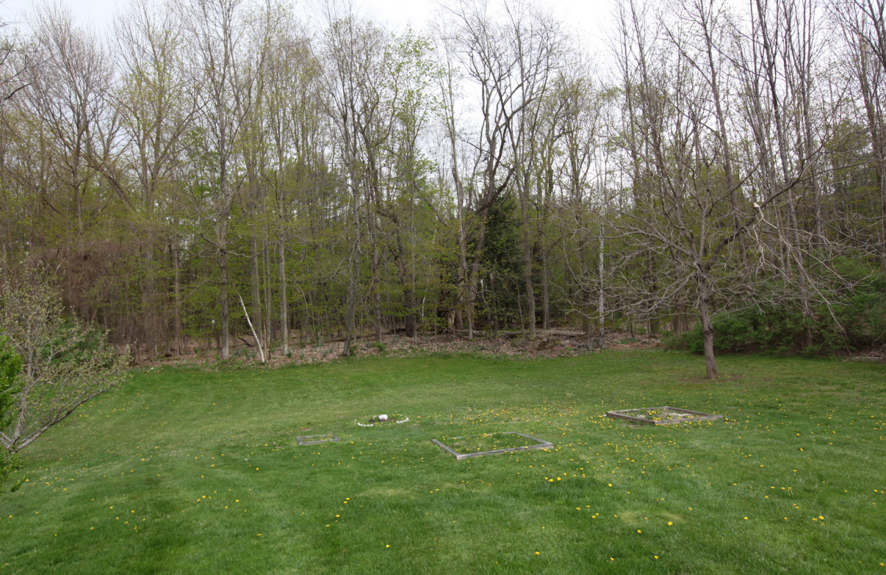 2116 Swamp Road Richmond, MA 01254 - Photo 14 of 16 a view of a park that has large trees