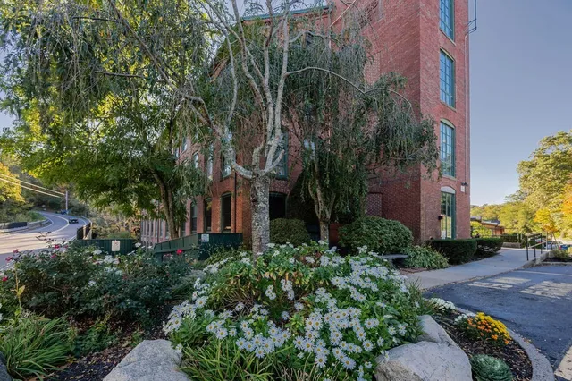 a view of yard along with trees
