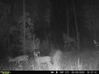 Xxx Fleming Logging Road Hinckley, MN 55037 - Photo 4 of 8