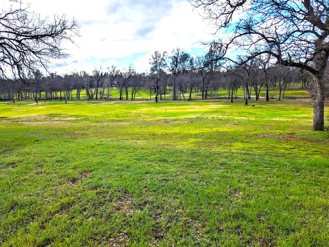 $79,000 | 19417 Belleterre Drive, Redding, CA 96003