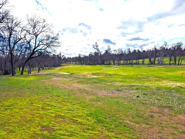 $79,000 | 19417 Belleterre Drive, Redding, CA 96003