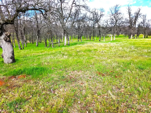 $79,000 | 19417 Belleterre Drive, Redding, CA 96003