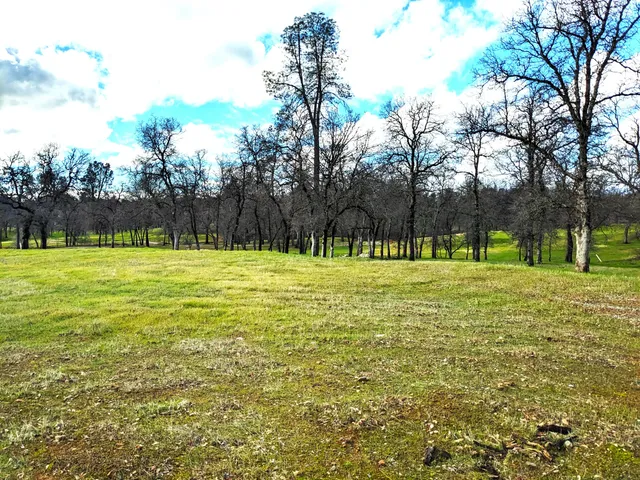 $79,000 | 19417 Belleterre Drive, Redding, CA 96003