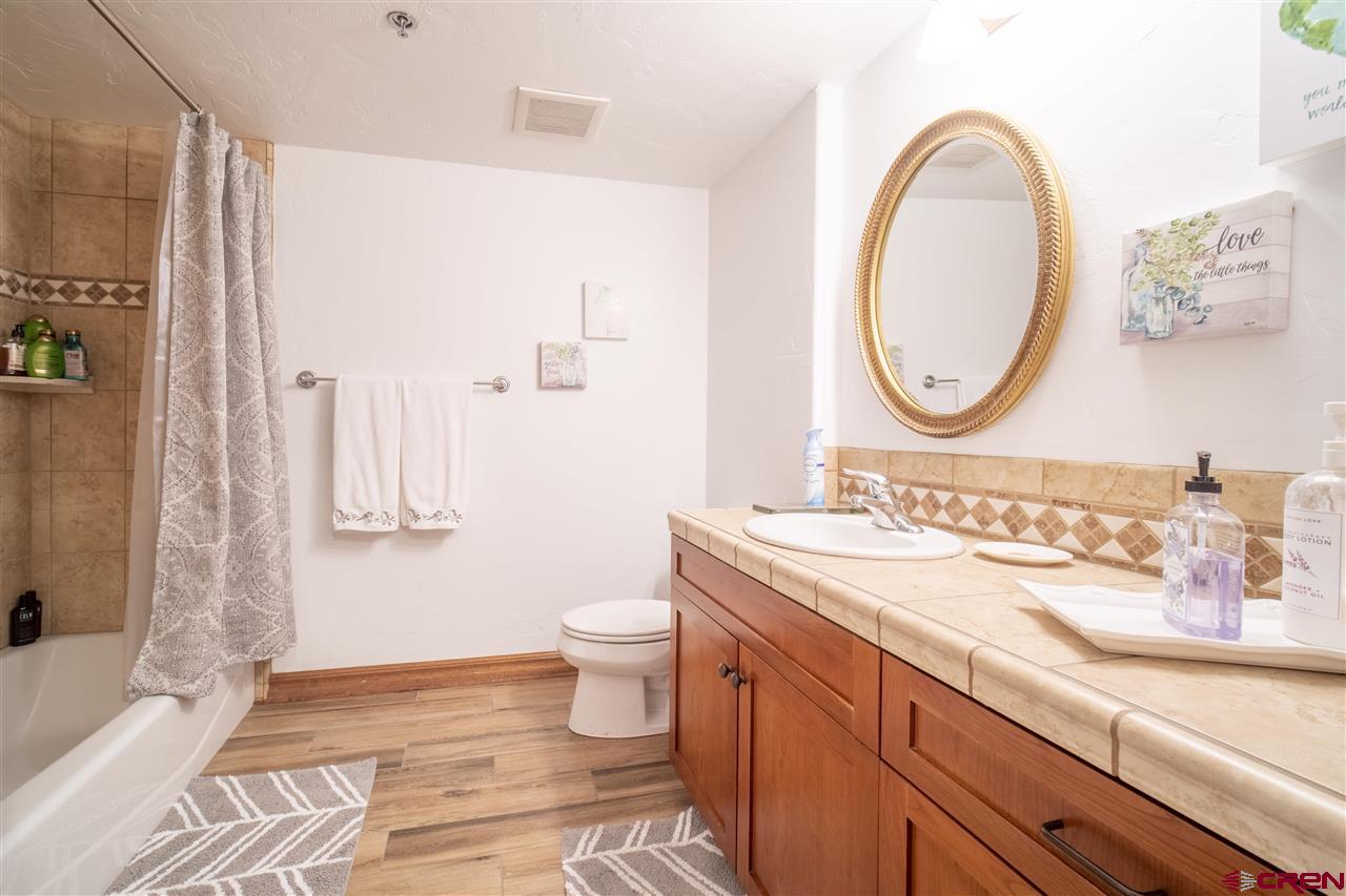 355 East 3rd Avenue Durango, CO 81301 - Photo 10 of 16