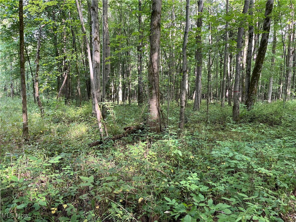 1825 Forman Road Jefferson, OH 44047 - Photo 14 of 15 Gallery Image 14