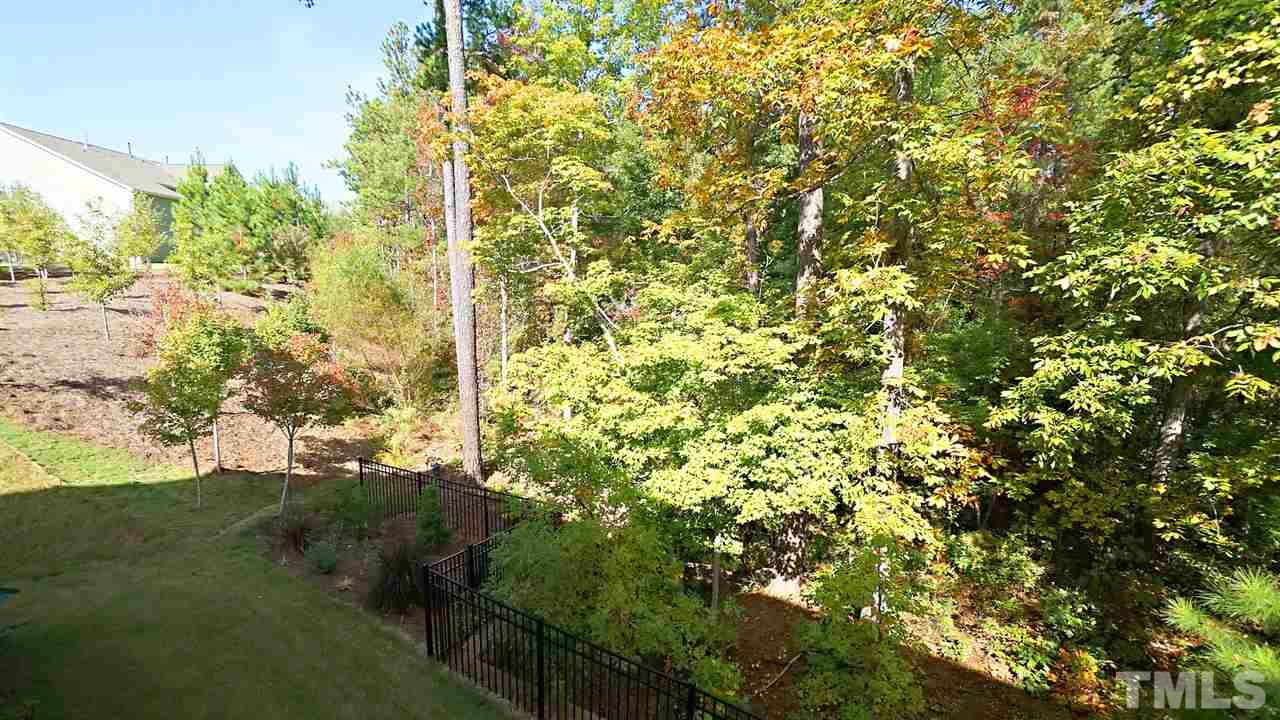 1013 Epiphany Road Morrisville, NC 27560 - Photo 29 of 30
