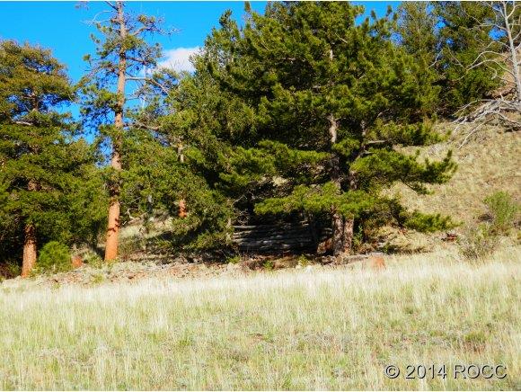 624 Corral Road Hartsel, CO 80449 - Photo 6 of 20 Gallery Image 6