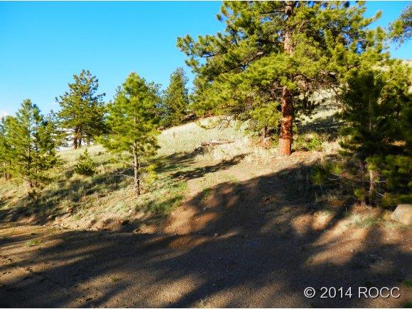 624 Corral Road Hartsel, CO 80449 - Photo 7 of 20 Gallery Image 7