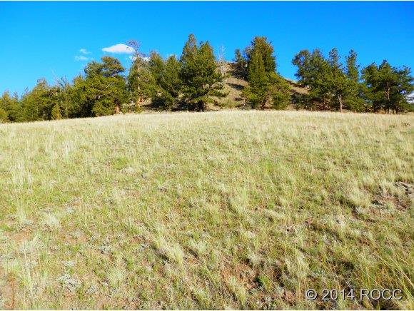 624 Corral Road Hartsel, CO 80449 - Photo 9 of 20 Gallery Image 9