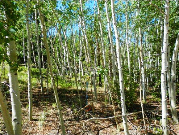 624 Corral Road Hartsel, CO 80449 - Photo 10 of 20 Gallery Image 10