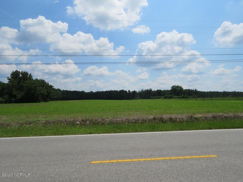0 Hedgpeth Road Fairmont, NC 28340 - Photo 1 of 1 45 Acres Robeson