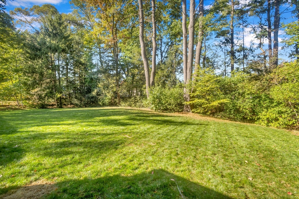 11 Longfellow Road Holyoke, MA 01040 - Photo 5 of 37 a view of a yard with an trees