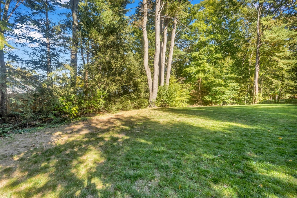 11 Longfellow Road Holyoke, MA 01040 - Photo 7 of 37 a view of outdoor space with yard