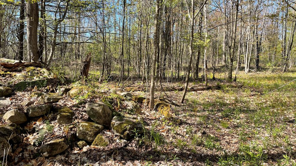278 Patent Road Peru, NY 12972 - Photo 11 of 11