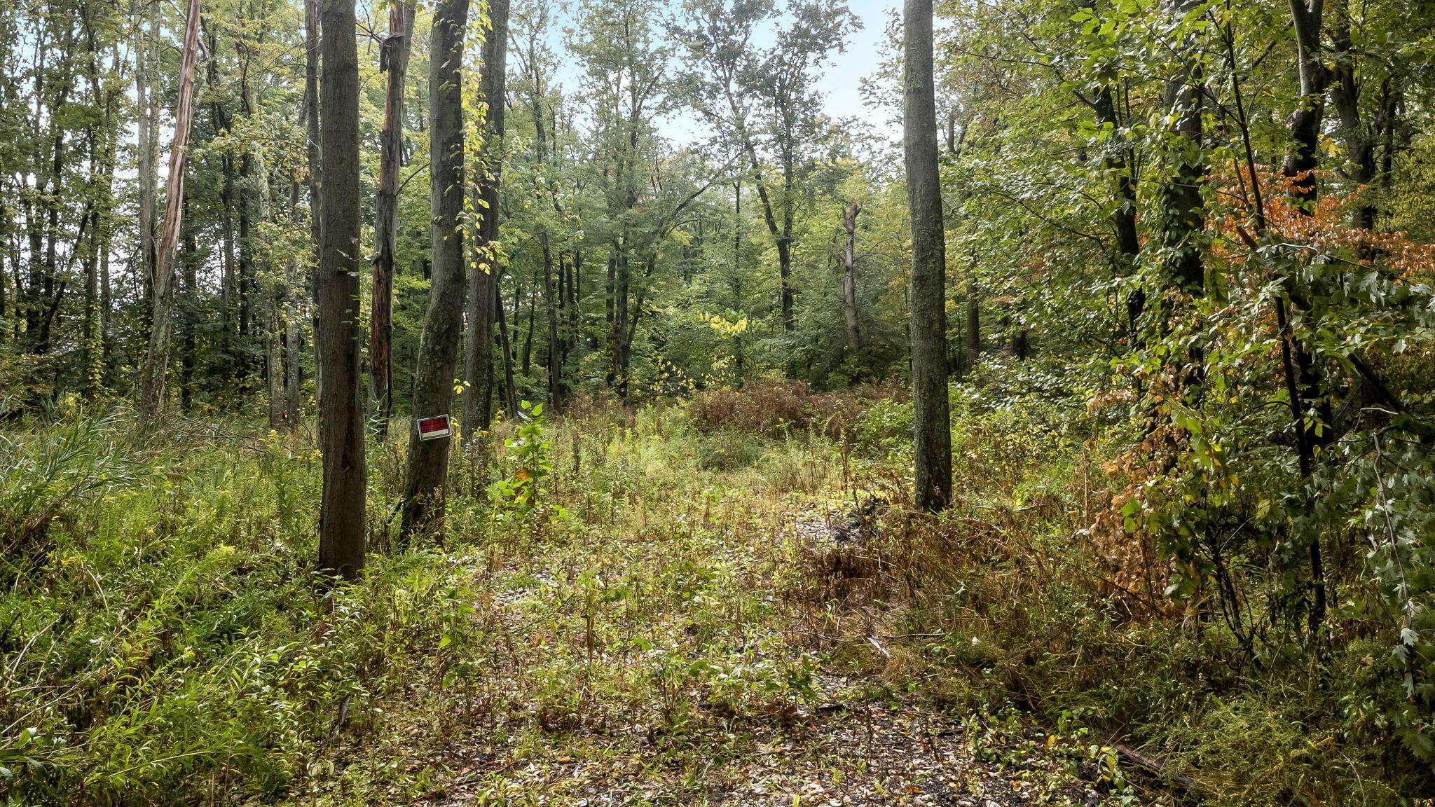 0 Babbitt Road New Albany, OH 43054 - Photo 7 of 10 Clearing from Drive.
