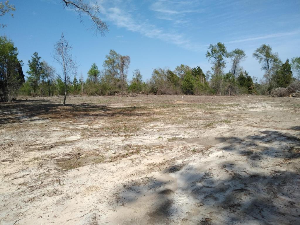 0 Northeast Hayborn Road Webb, AL 36376 - Photo 1 of 2