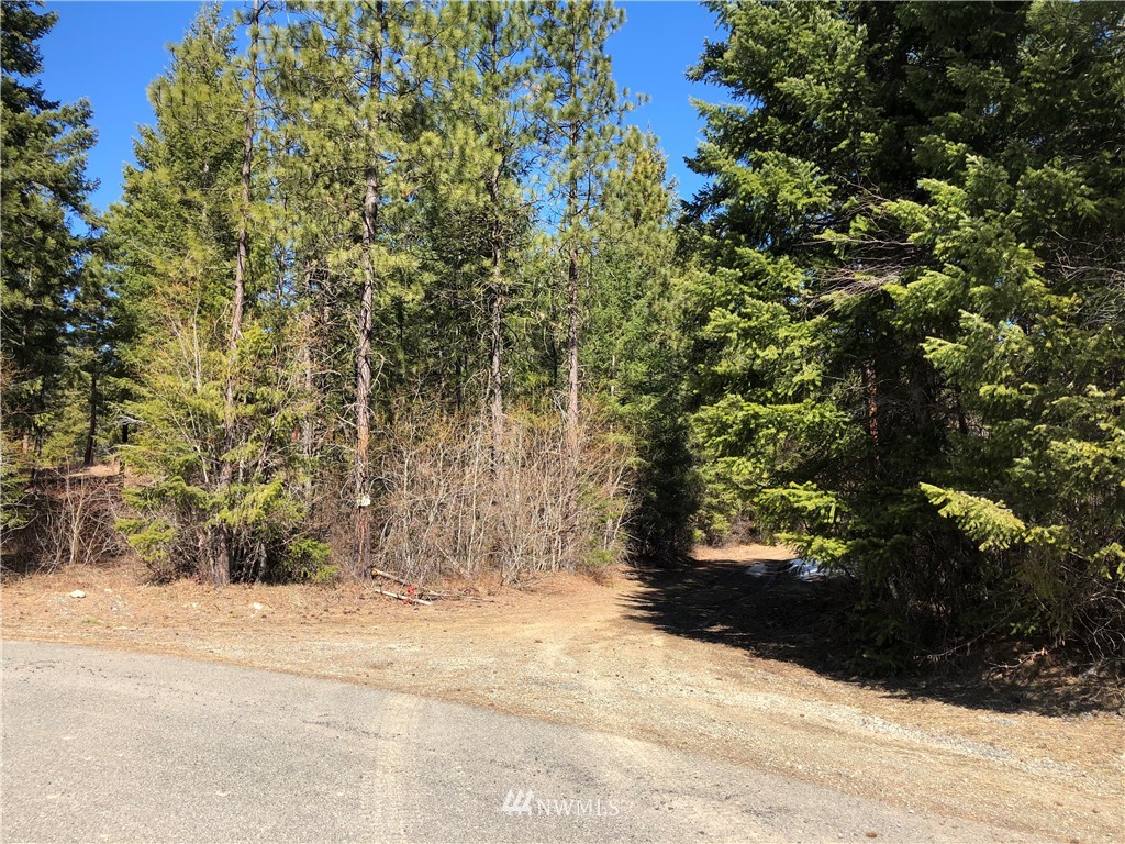 3 Big Tail Road Cle Elum, WA 98922 - Photo 14 of 15 Gallery Image 14