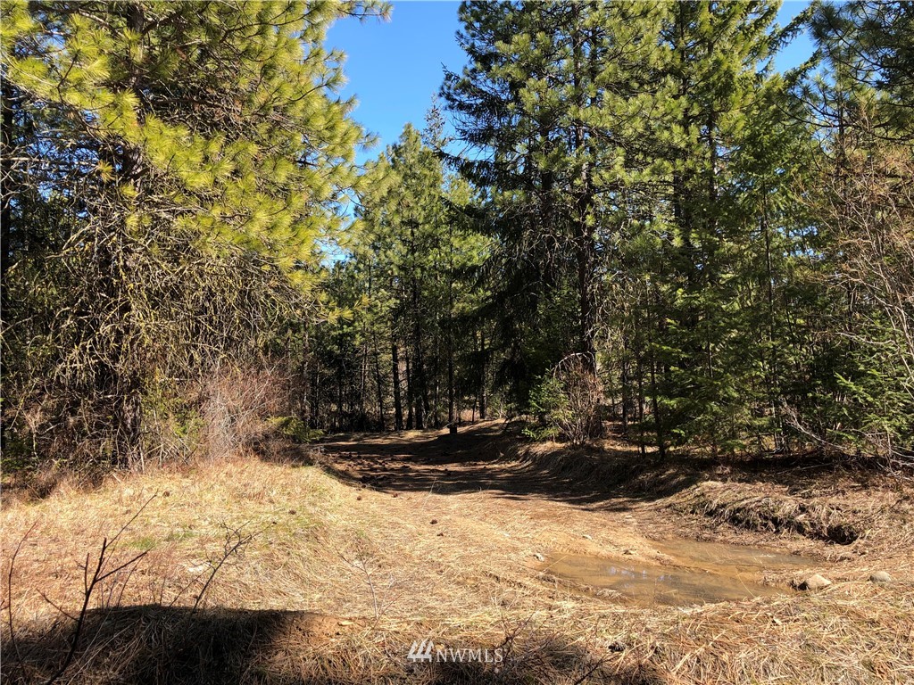 3 Big Tail Road Cle Elum, WA 98922 - Photo 8 of 15 Gallery Image 8