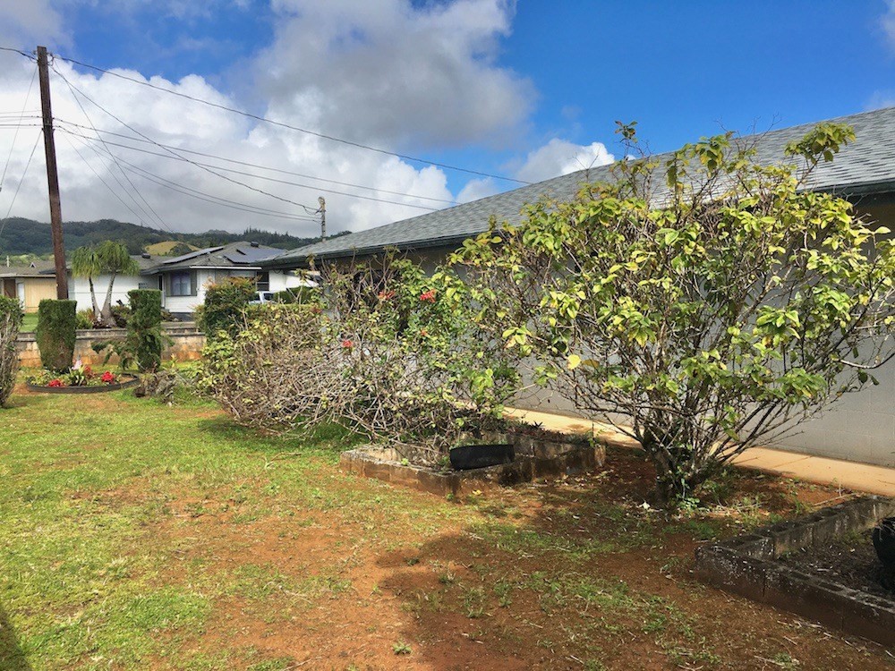 3388 Hailima Road Koloa, HI 96756 - Photo 13 of 13
