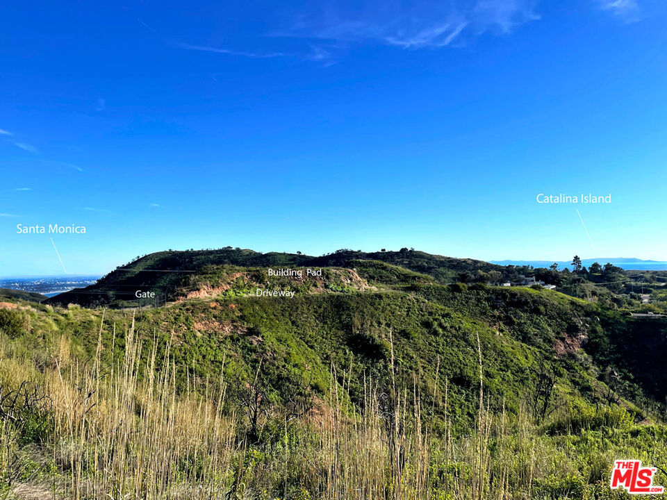 2825 Tuna Canyon Road Topanga, CA 90290 - Photo 11 of 38 a view of a houses with a yard