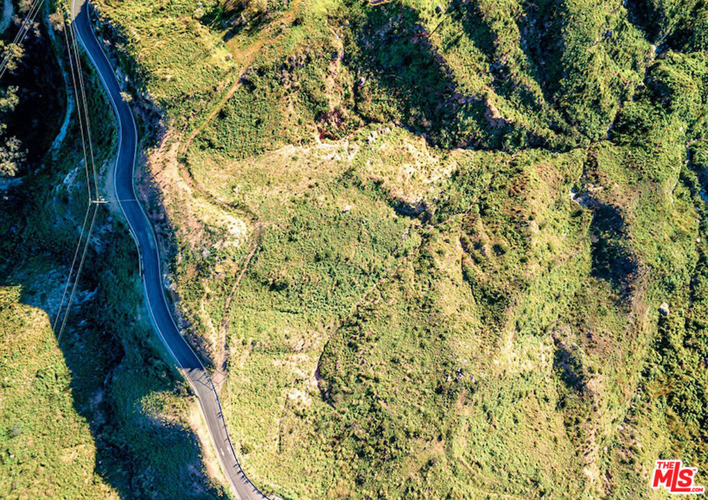 2825 Tuna Canyon Road Topanga, CA 90290 - Photo 18 of 38 a view of a yard