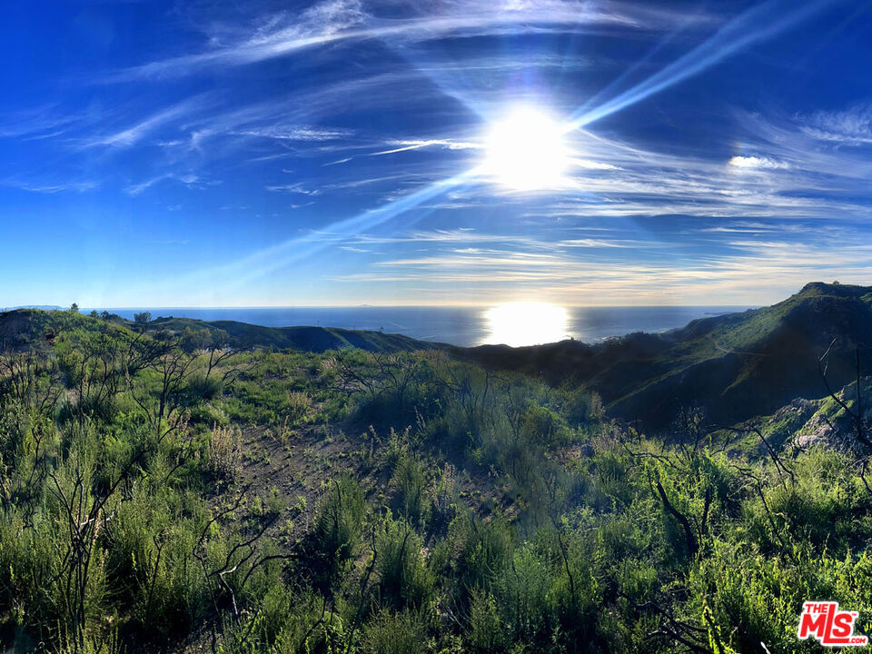 2825 Tuna Canyon Road Topanga, CA 90290 - Photo 24 of 38 a view of a pathway both side of green field with mountain view