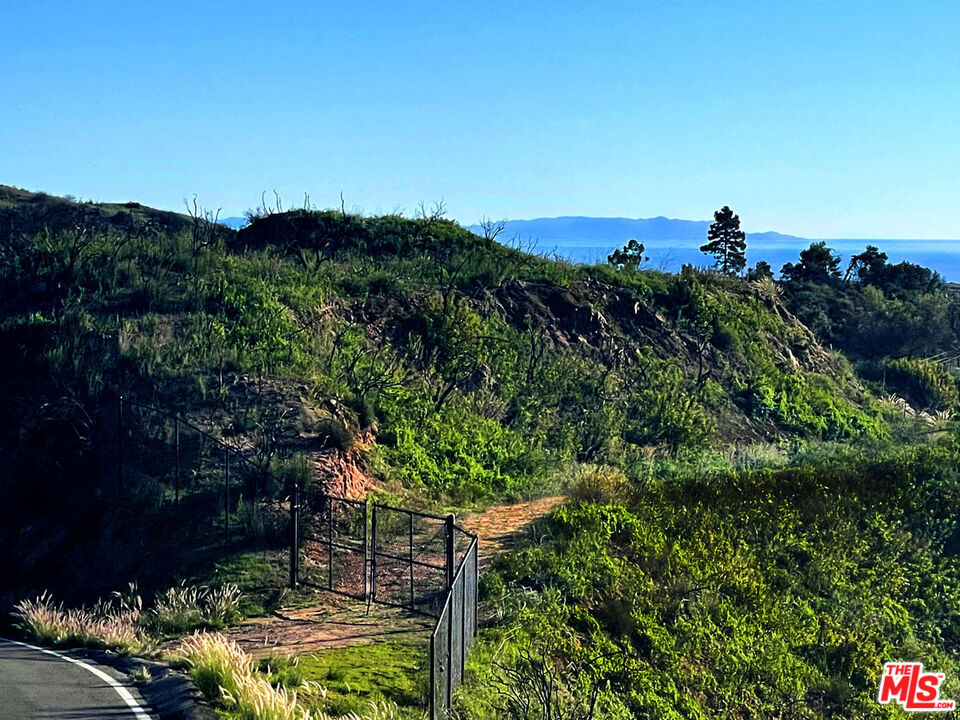 2825 Tuna Canyon Road Topanga, CA 90290 - Photo 27 of 38 a view of a bunch of trees and bushes