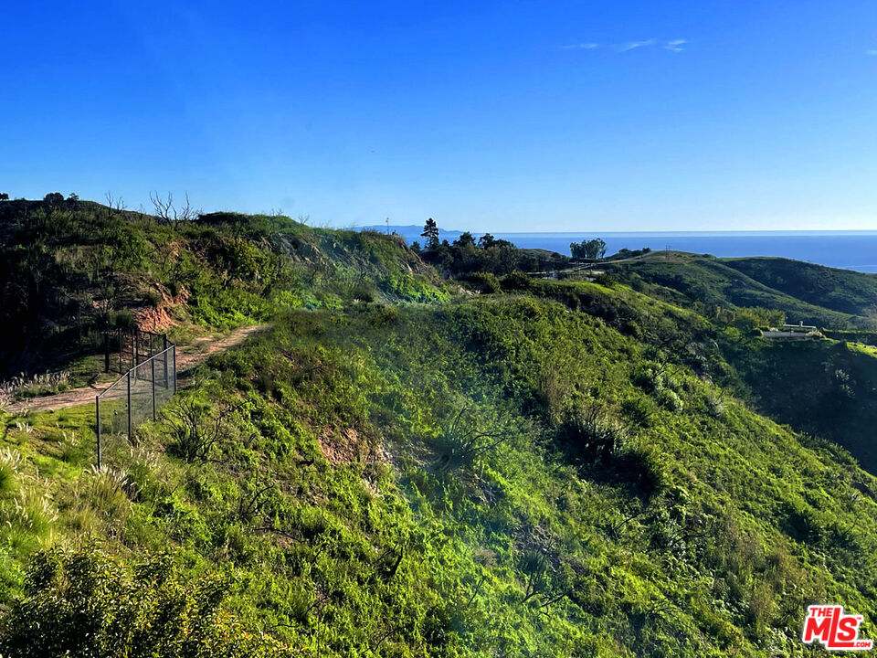 2825 Tuna Canyon Road Topanga, CA 90290 - Photo 29 of 38 a view of a green field with lots of bushes
