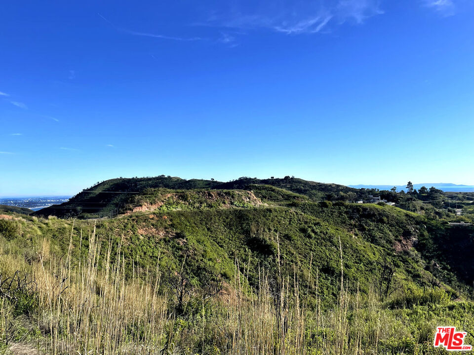 2825 Tuna Canyon Road Topanga, CA 90290 - Photo 32 of 38 a view of a houses with a lush green forest