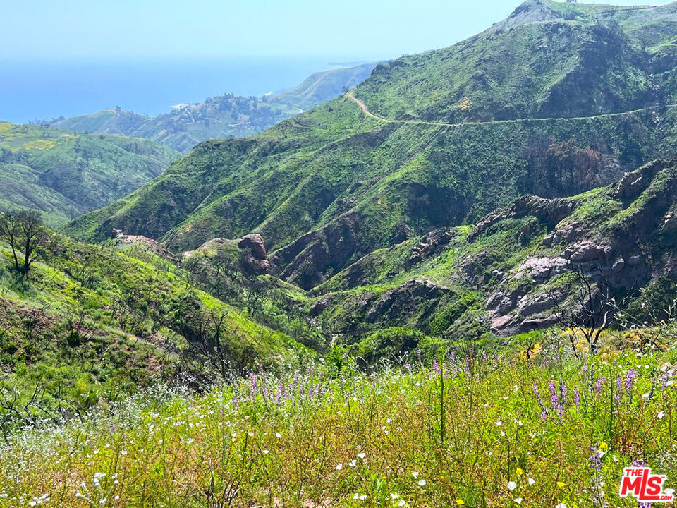 2825 Tuna Canyon Road Topanga, CA 90290 - Photo 6 of 38 a view of a lush green forest with a street