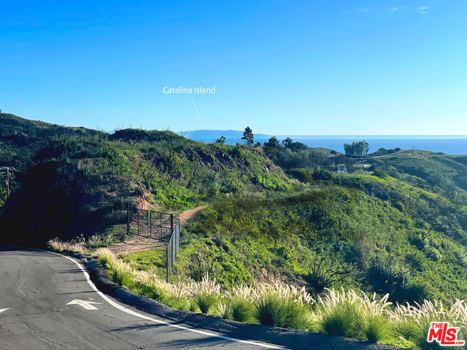 2825 Tuna Canyon Road Topanga, CA 90290 - Photo 8 of 38 a view of a lake with a yard