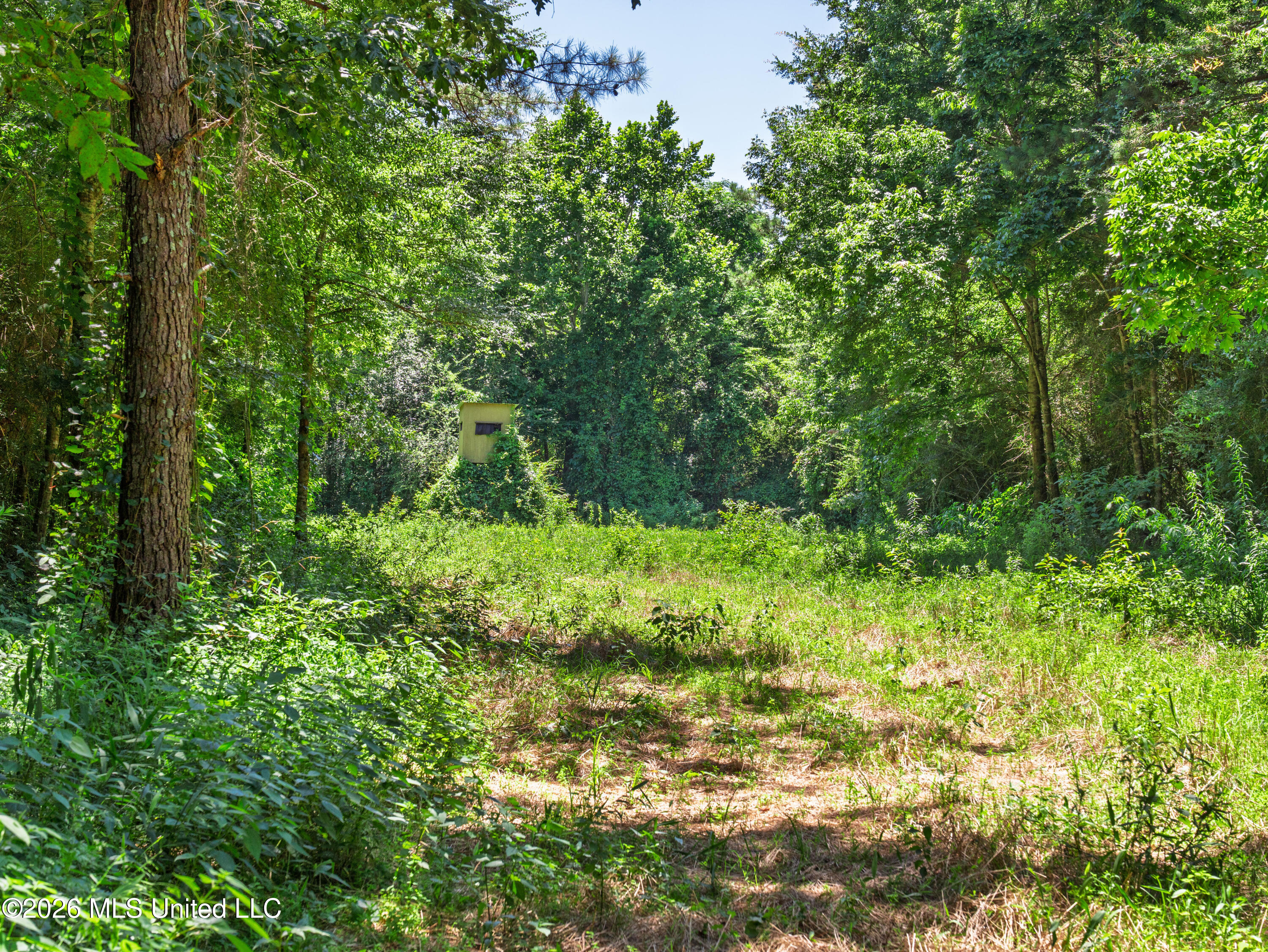 23 Co Road Bay Springs, MS 39422 - Photo 22 of 64 A7403760