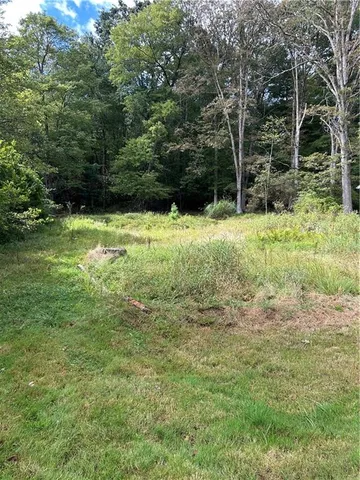 a view of outdoor space and yard