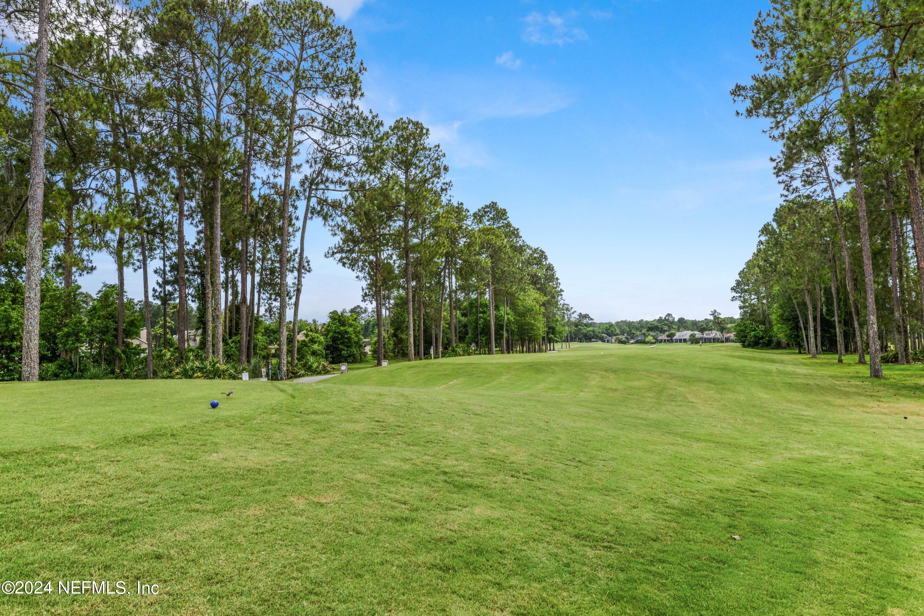 2563 Woodgrove Road Fleming Island, FL 32003 - Photo 54 of 83 Eagle Harbor-16