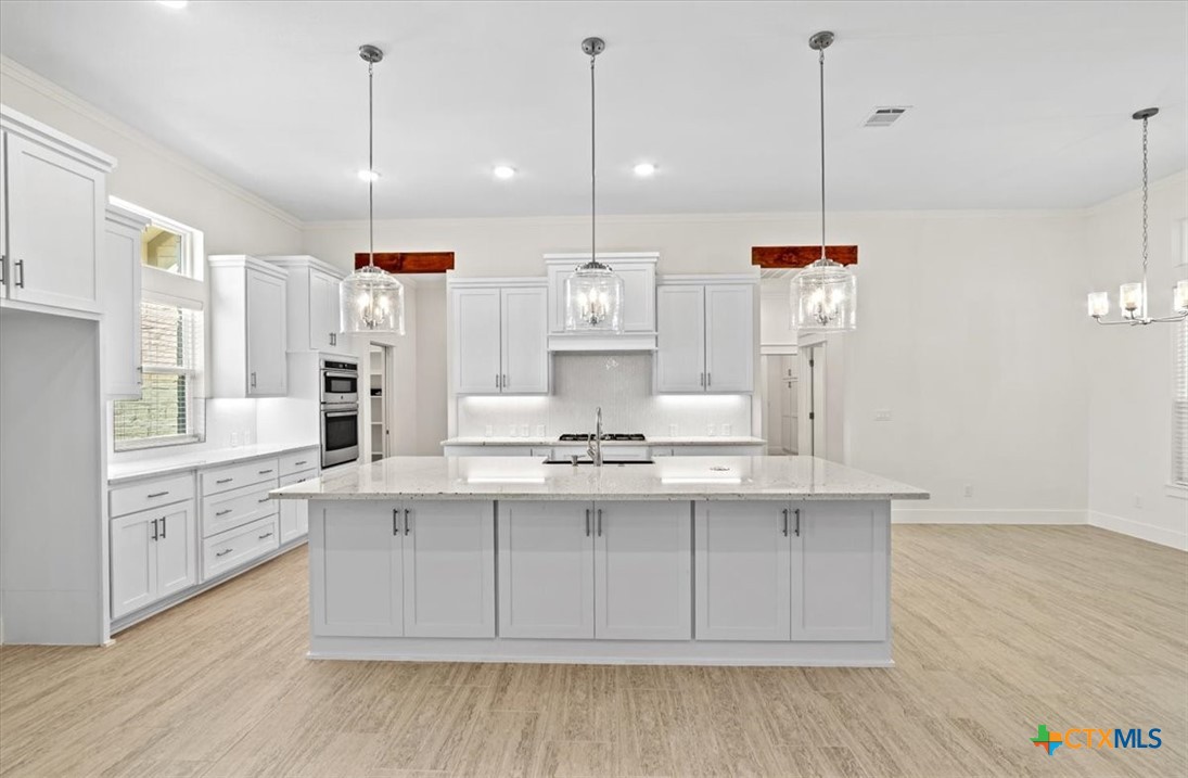 8439 Spring Creek Loop Salado, TX 76571 - Photo 12 of 40 Granite counters with custom fixtures