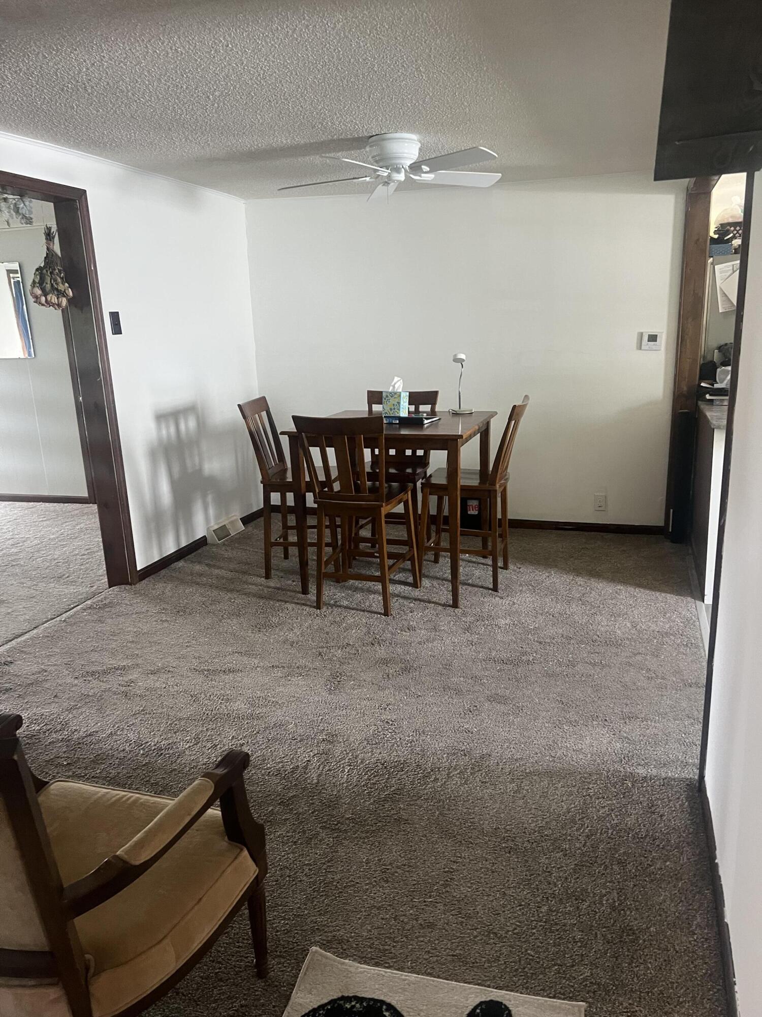 228 West Forest Street Edmore, MI 48829 - Photo 5 of 14 IMG_8810