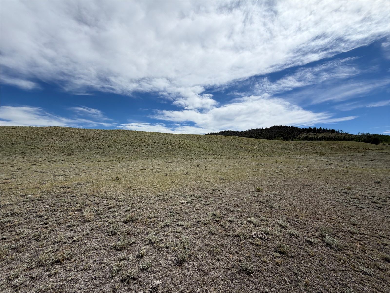 776 Commanche Trail Hartsel, CO 80449 - Photo 22 of 24