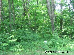 3 Cabbage Patch Road Burnsville, NC 28714 - Photo 1 of 1 Gallery Image 1