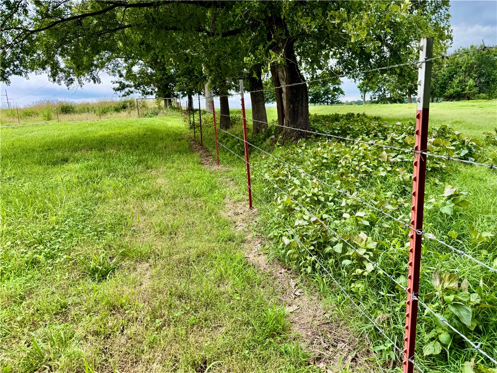15196 Cincinnati Creek Road Summers, AR 72769 - Photo 40 of 42 Pastureland featuring a wire fence with metal posts, mature trees, and natural vegetation