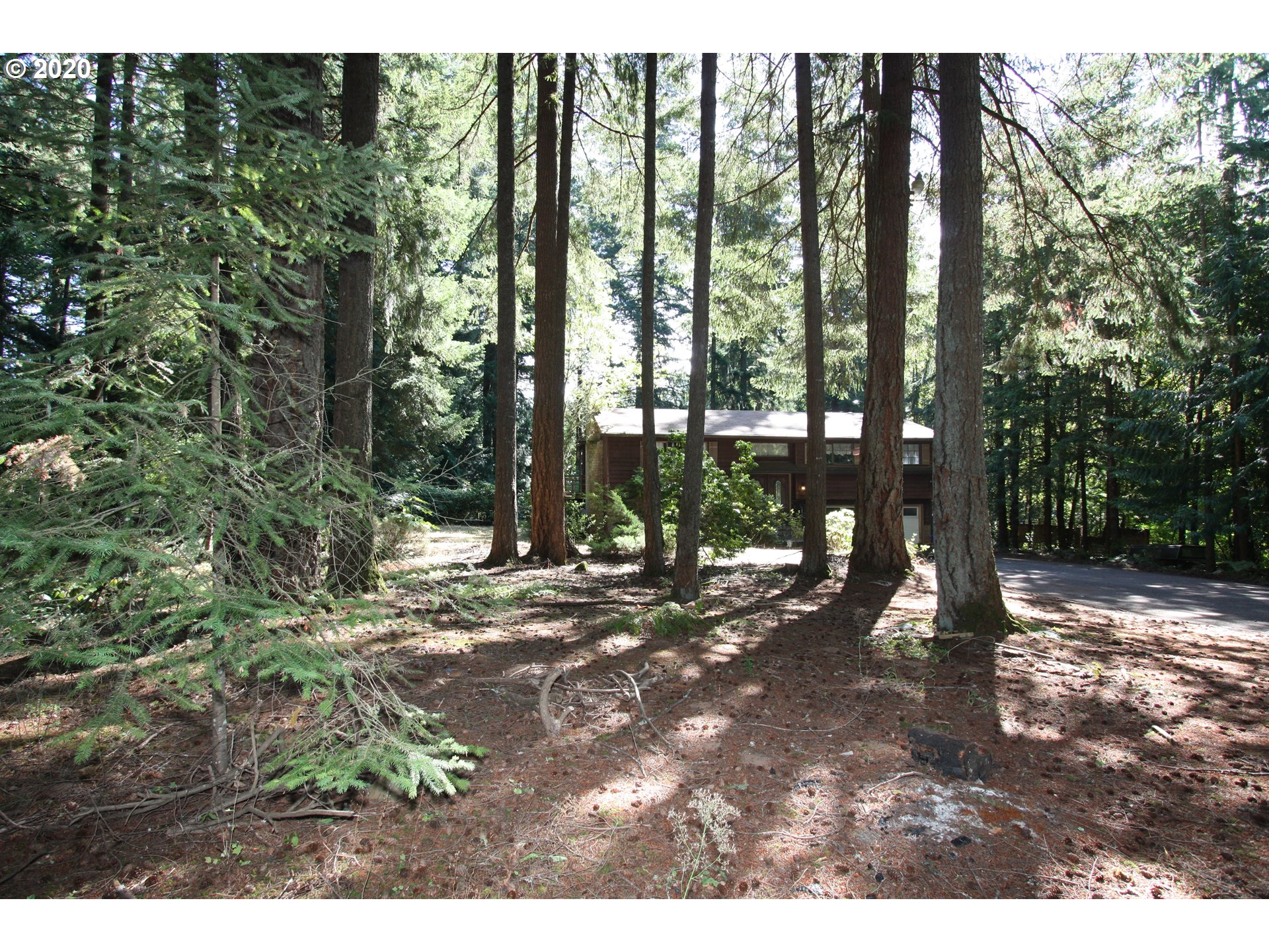 18702 South Grasle Road Oregon City, OR 97045 - Photo 4 of 20 Gallery Image 4