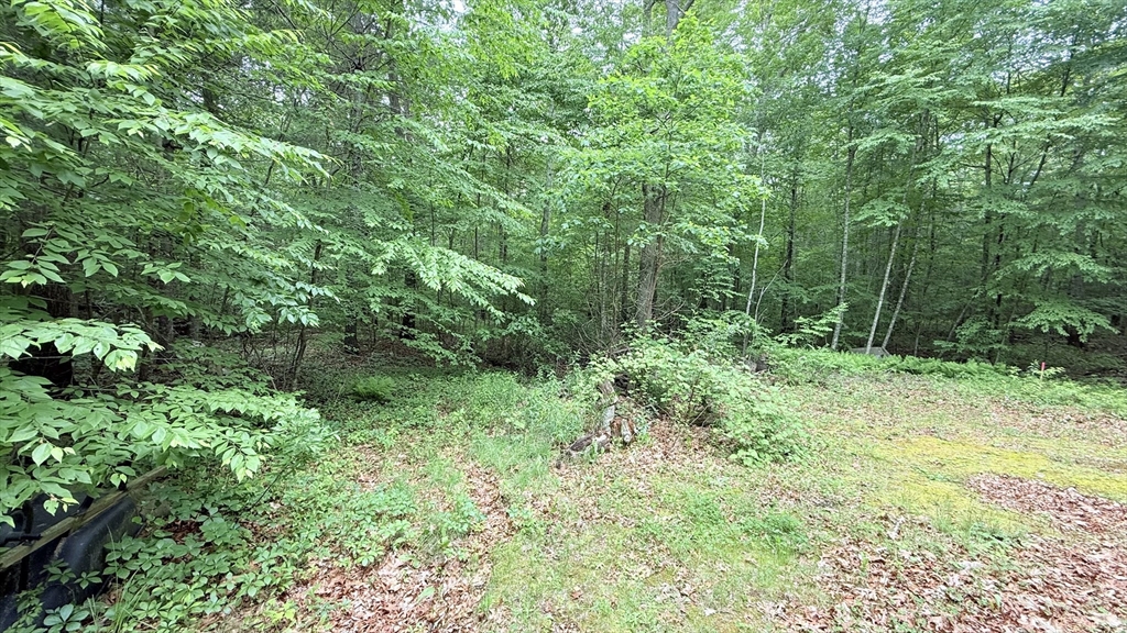 1755 Maple Street Dighton, MA 02764 - Photo 7 of 23 a view of a lush green forest with trees