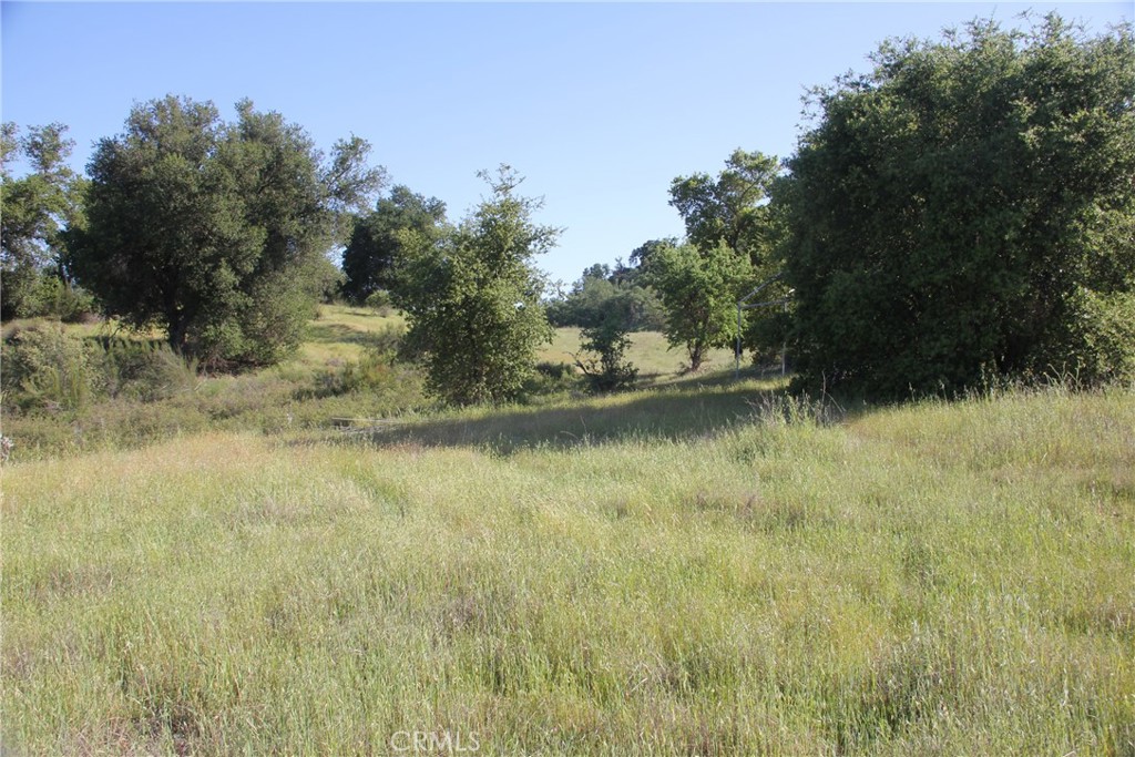 74650 Interlake Road Bradley, CA 93426 - Photo 3 of 21