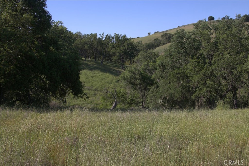 74650 Interlake Road Bradley, CA 93426 - Photo 5 of 21