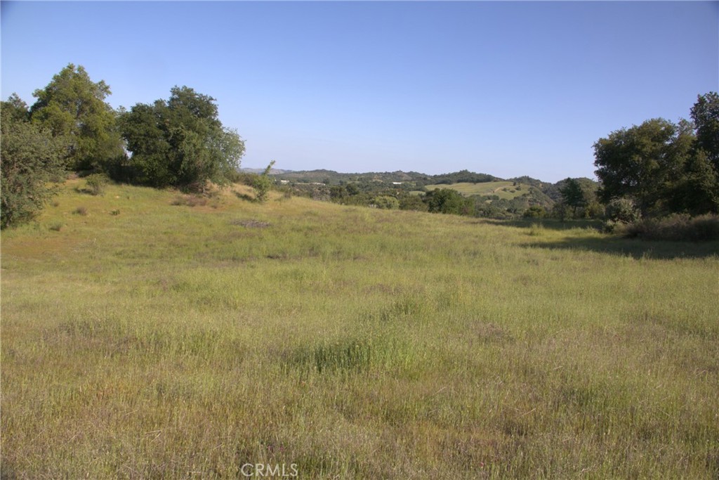 74650 Interlake Road Bradley, CA 93426 - Photo 6 of 21